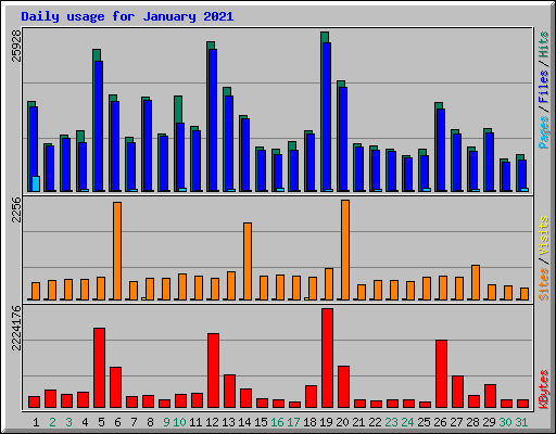 Daily usage for January 2021