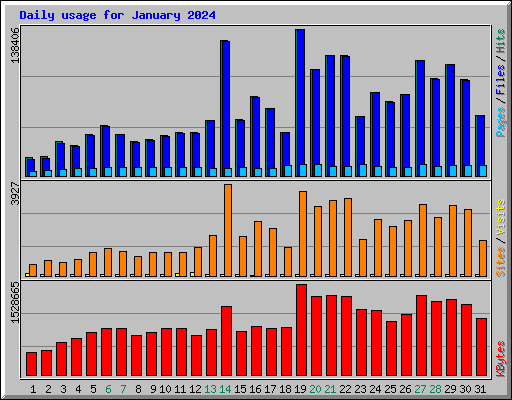 Daily usage for January 2024