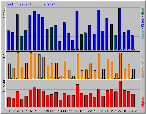 Daily usage for June 2024