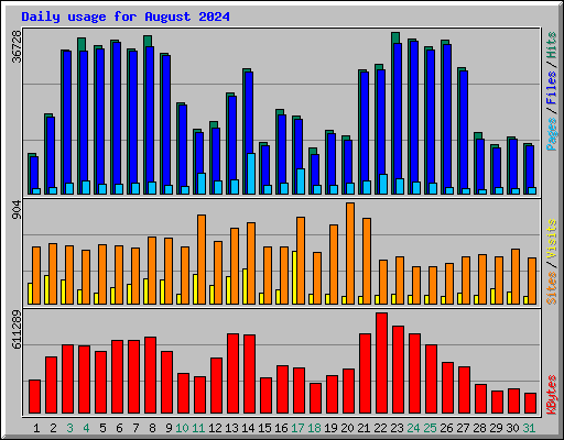 Daily usage for August 2024