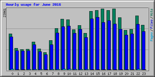 Hourly usage for June 2016