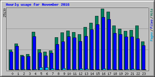 Hourly usage for November 2016