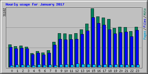 Hourly usage for January 2017