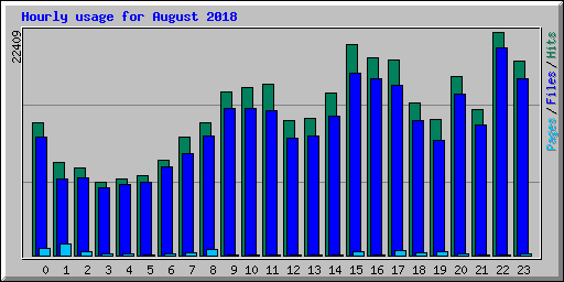 Hourly usage for August 2018