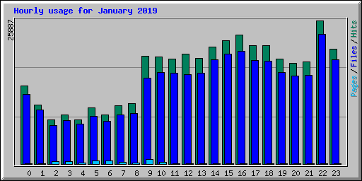 Hourly usage for January 2019