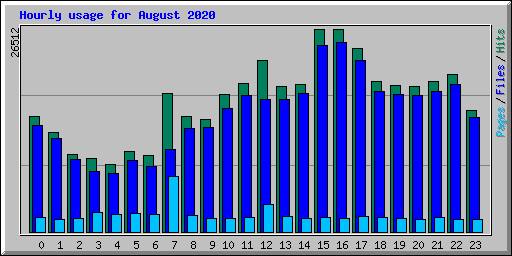 Hourly usage for August 2020