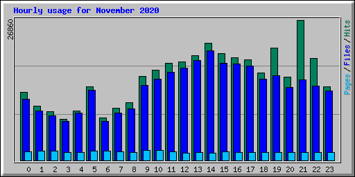 Hourly usage for November 2020