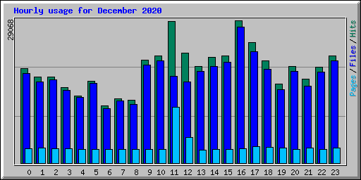 Hourly usage for December 2020