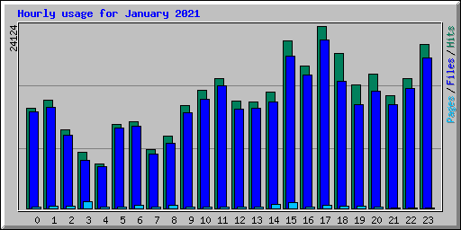 Hourly usage for January 2021