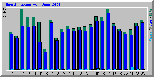 Hourly usage for June 2021