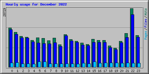 Hourly usage for December 2022