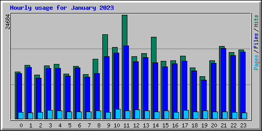 Hourly usage for January 2023