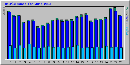 Hourly usage for June 2023