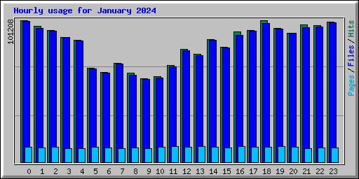 Hourly usage for January 2024