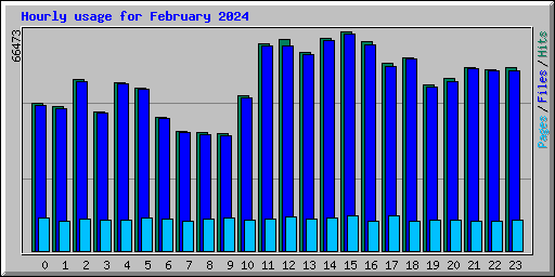 Hourly usage for February 2024