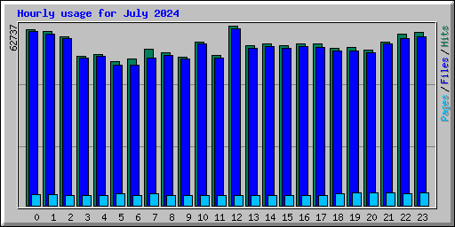 Hourly usage for July 2024