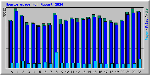 Hourly usage for August 2024