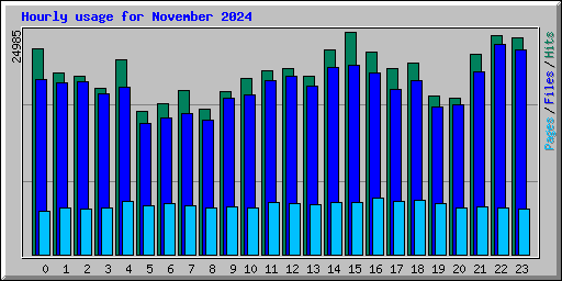 Hourly usage for November 2024