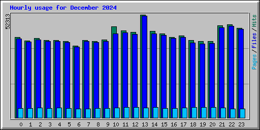 Hourly usage for December 2024