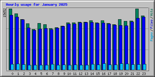 Hourly usage for January 2025