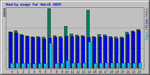 Hourly usage for March 2025