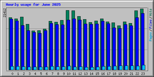 Hourly usage for June 2025