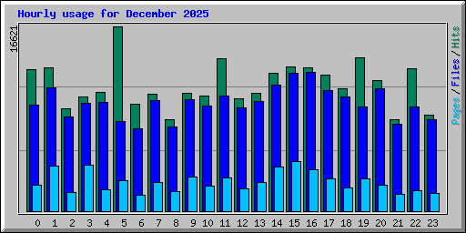 Hourly usage for December 2025